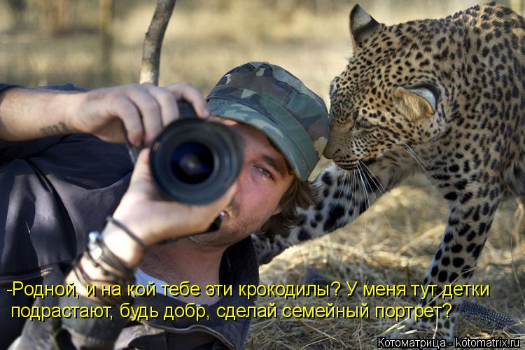 Котоматрица: -Родной, и на кой тебе эти крокодилы? У меня тут детки подрастают, будь добр, сделай семейный портрет?