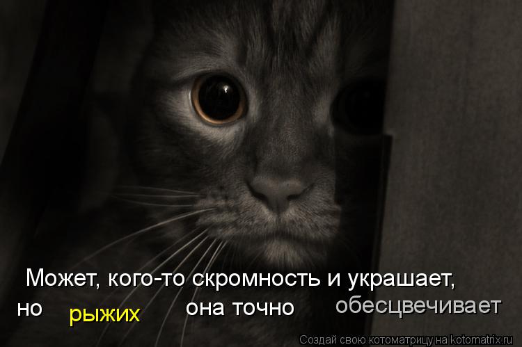 Котоматрица: Может, кого-то скромность и украшает, но рыжих она точно обесцвечивает