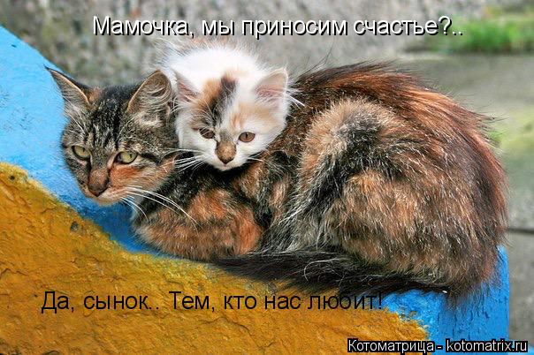 Мамочка, мы приносим счастье?.. Да, сынок.. Тем, кто нас любит!... Котоматрица: Мамочка, мы приносим счастье?.. Да, сынок.. Тем, кто нас любит!