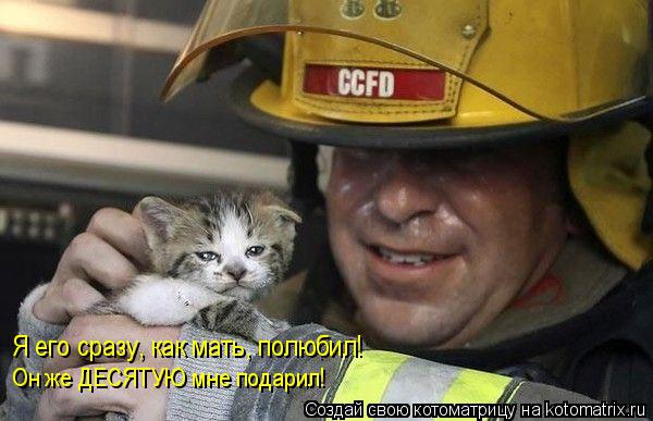 Котоматрица: Я его сразу, как мать, полюбил! Он же ДЕСЯТУЮ мне подарил!