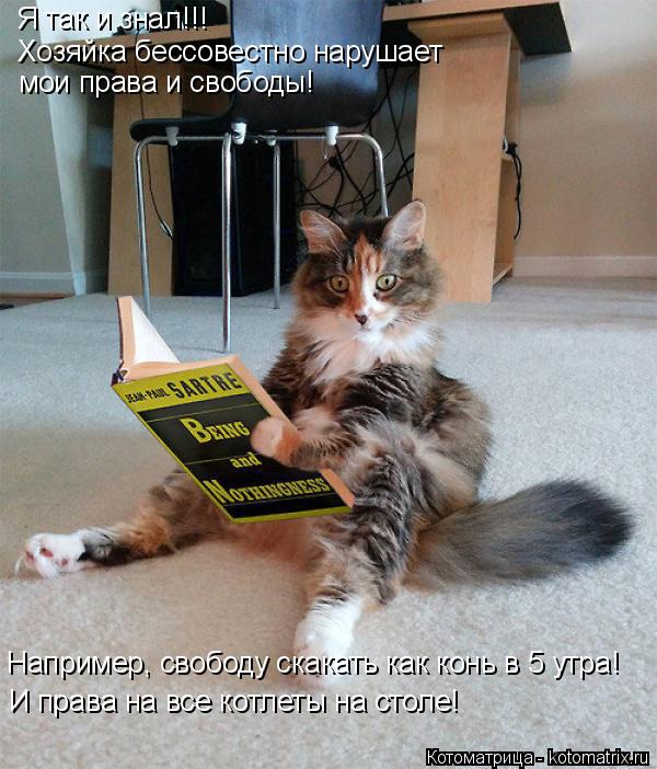 Котоматрица: Я так и знал!!!  Хозяйка бессовестно нарушает  мои права и свободы! Например, свободу скакать как конь в 5 утра! И права на все котлеты на столе!