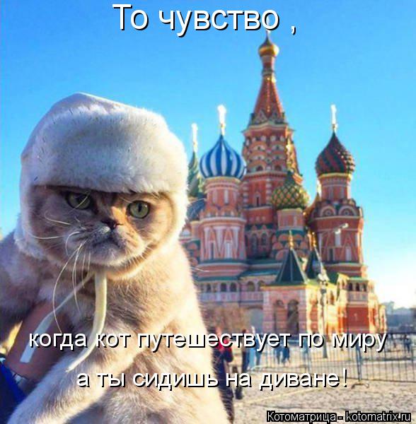 Котоматрица: То чувство ,  когда кот путешествует по миру а ты сидишь на диване!