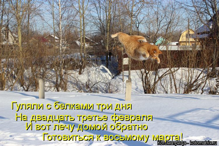 Гуляли с белками три дня На двадцать третье февраля И вот лечу домой обратно Готовиться к восьмому ма... Котоматрица: Гуляли с белками три дня На двадцать третье февраля И вот лечу домой обратно Готовиться к восьмому марта!