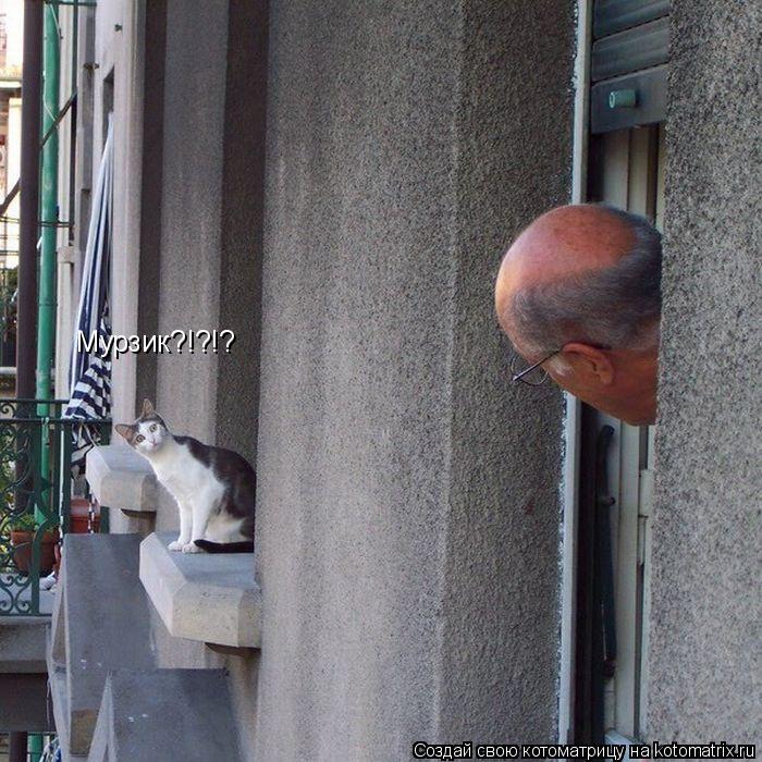Мурзик?!?!?... Котоматрица: Мурзик?!?!?