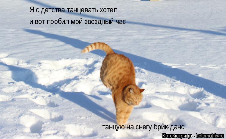 Я с детства танцевать хотел и вот пробилм Я с детства танцевать хотел и вот пробил мой звездный час ... Котоматрица: Я с детства танцевать хотел и вот пробилм Я с детства танцевать хотел и вот пробил мой звездный час танцую на снегу брйк-данс