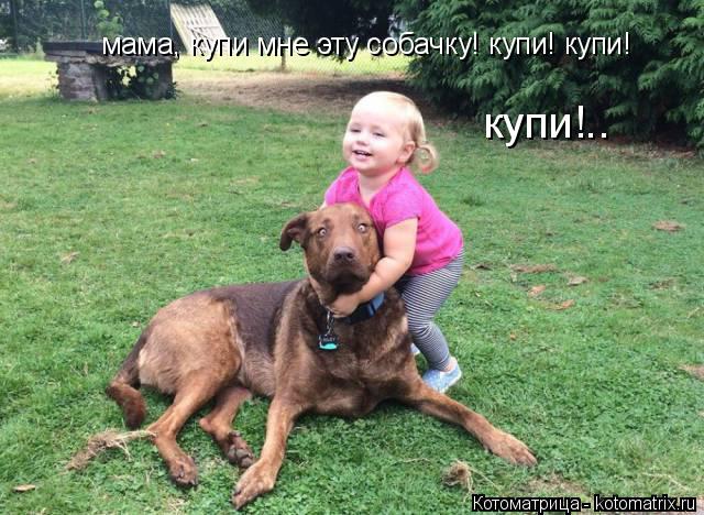 мама, купи мне эту собачку! купи! купи! купи!..... Котоматрица: мама, купи мне эту собачку! купи! купи! купи!..