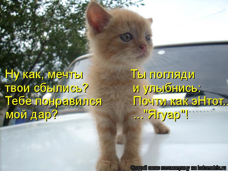Ну как, мечты Ты погляди твои сбылись? и улыбнись: Тебе понравился ... Котоматрица: Ну как, мечты Ты погляди твои сбылись? и улыбнись: Тебе понравился Почти как эНтот... мой дар? ..."Ягуар"!