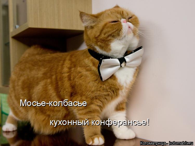 Котоматрица: Мосье-колбасье кухонный конферансье!