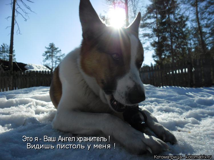 Котоматрица: Это я - Ваш Ангел хранитель ! Видишь пистоль у меня !