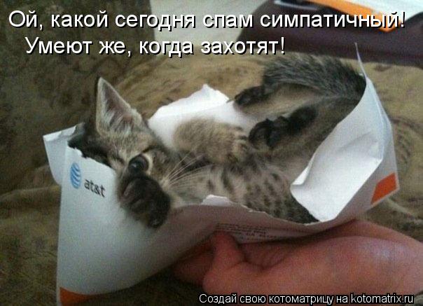 Ой, какой сегодня спам симпатичный! Умеют же, когда захотят!... Котоматрица: Ой, какой сегодня спам симпатичный! Умеют же, когда захотят!