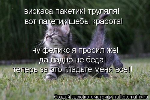 вискаса пакетик! труляля! вот пакетик шебы красота! ну феликс я просил же! да ладно не беда! теперь ... Котоматрица: вискаса пакетик! труляля! вот пакетик шебы красота! ну феликс я просил же! да ладно не беда! теперь за это гладьте меня все!!