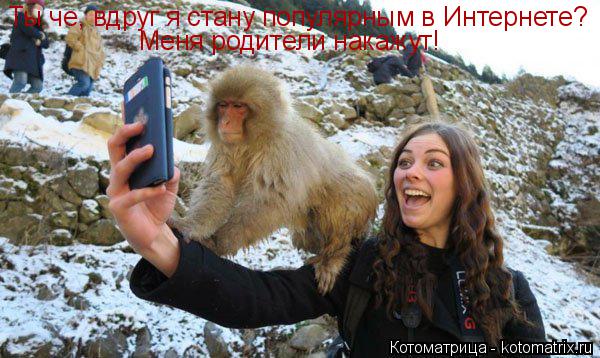 Ты че, вдруг я стану популярным в Интернете? Меня родители накажут!... Котоматрица: Ты че, вдруг я стану популярным в Интернете? Меня родители накажут!