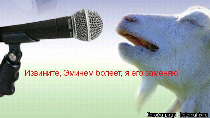 Извините, Эминем болеет, я его заменяю!... Котоматрица: Извините, Эминем болеет, я его заменяю!