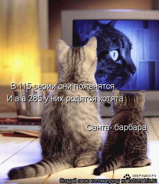 В 115 серии они поженятся И в в 285 у них родятся котята Санта- барбара... Котоматрица: В 115 серии они поженятся И в в 285 у них родятся котята Санта- барбара