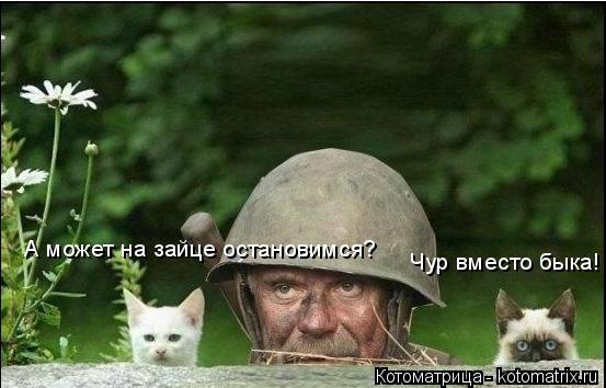 А может на зайце остановимся? Чур вместо быка!... Котоматрица: А может на зайце остановимся? Чур вместо быка!