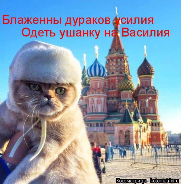 Одеть ушанку на Василия Блаженны дураков усилия... Котоматрица: Одеть ушанку на Василия Блаженны дураков усилия