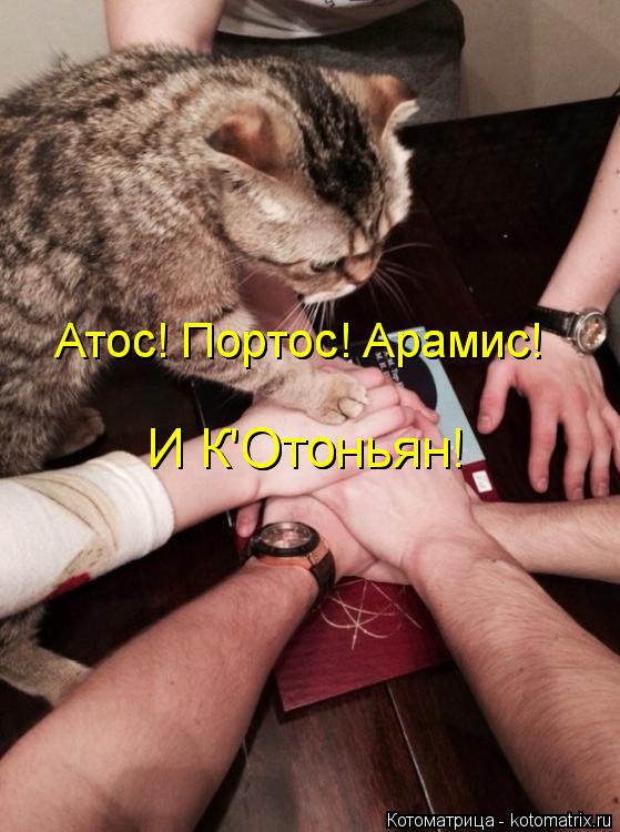 Атос! Портос! Арамис! Атос! Портос! Арамис! И К'Отоньян! И К'Отоньян!... Котоматрица: Атос! Портос! Арамис! Атос! Портос! Арамис! И К'Отоньян! И К'Отоньян!