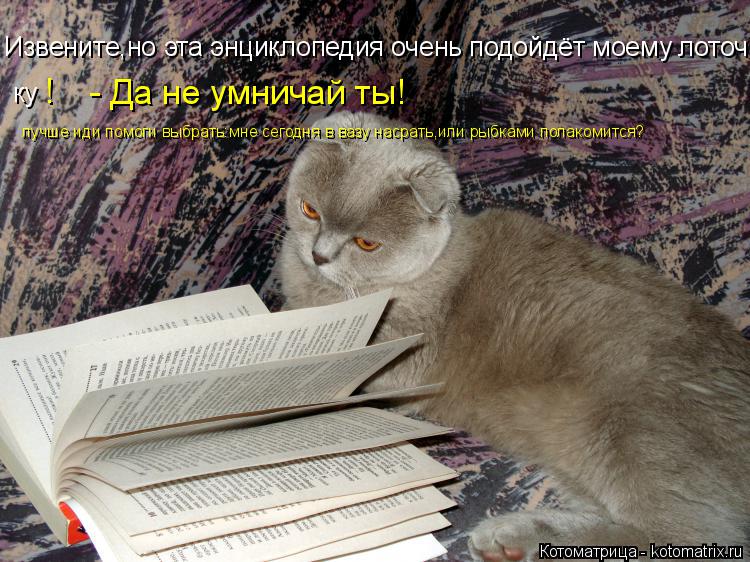 Извените,но эта энциклопедия очень подойдёт моему лоточку. ку лучше иди помоги выбрать:мне сегодня в ... Котоматрица: Извените,но эта энциклопедия очень подойдёт моему лоточку. ку лучше иди помоги выбрать:мне сегодня в вазу насрать,или рыбками полакомится?