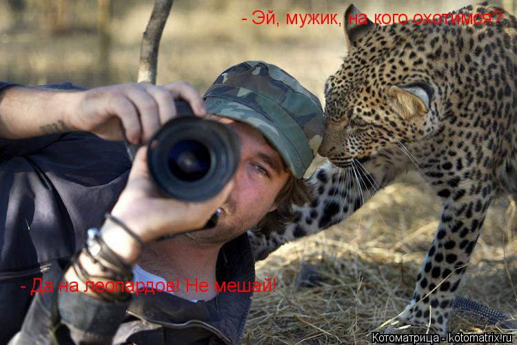 - Эй, мужик, на кого охотимся? - Да на леопардов! Не мешай!... Котоматрица: - Эй, мужик, на кого охотимся? - Да на леопардов! Не мешай!
