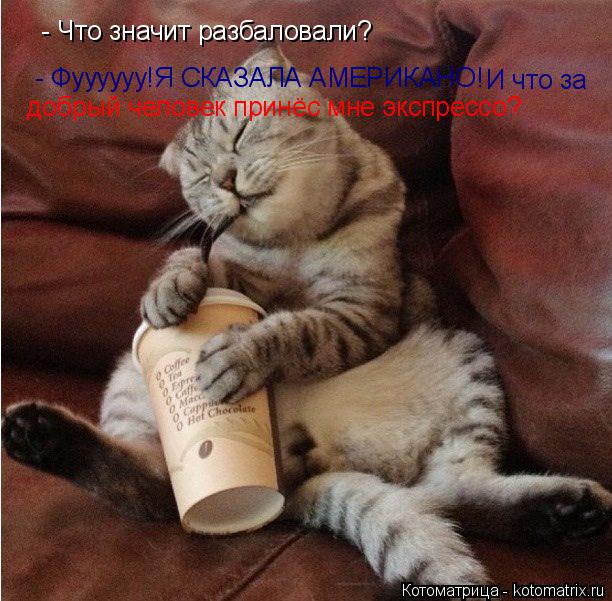 - Что значит разбаловали? - Фуууууу!Я СКАЗАЛА АМЕРИКАНО! И что за добрый человек принёс мне экспрес... Котоматрица: - Что значит разбаловали? - Фуууууу!Я СКАЗАЛА АМЕРИКАНО! И что за добрый человек принёс мне экспрессо?