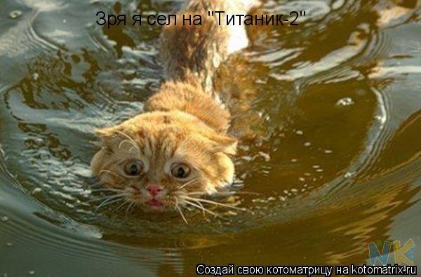 Зря я сел на "Титаник-2"... Котоматрица: Зря я сел на "Титаник-2"