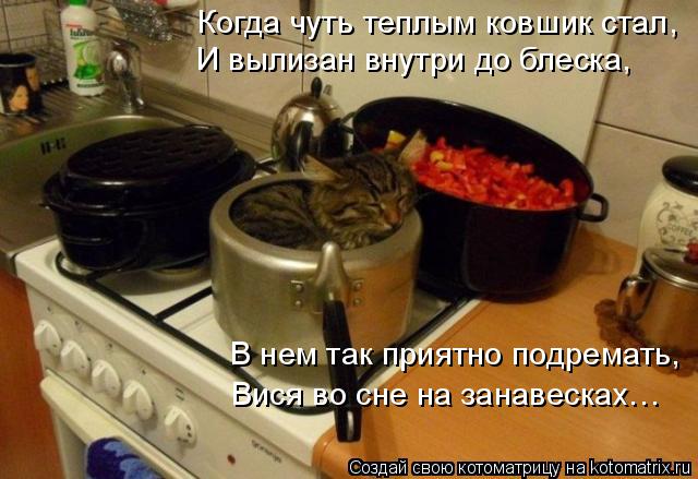 Когда чуть теплым ковшик стал, И вылизан внутри до блеска, В нем так приятно подремать, Вися во сне н... Котоматрица: Когда чуть теплым ковшик стал, И вылизан внутри до блеска, В нем так приятно подремать, Вися во сне на занавесках…