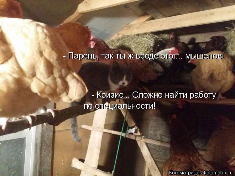 - Парень, так ты ж вроде этот... мышелов! - Кризис... Сложно найти работу по специальности!... Котоматрица: - Парень, так ты ж вроде этот... мышелов! - Кризис... Сложно найти работу по специальности!