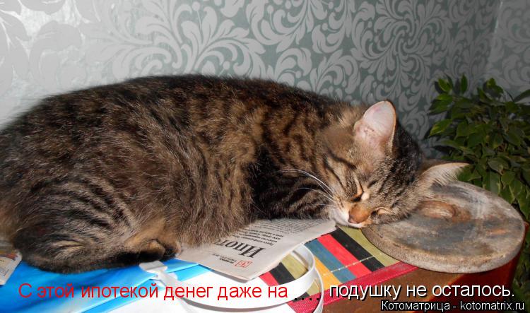 С этой ипотекой денег даже на подушку не осталось. ....... Котоматрица: С этой ипотекой денег даже на подушку не осталось. ....