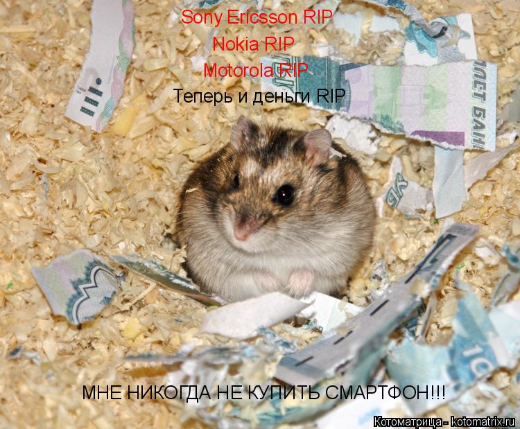 Sony Ericsson RIP Nokia RIP Motorola RIP Теперь и деньги RIP МНЕ НИКОГДА НЕ КУПИТЬ СМАРТФОН!!!... Котоматрица: Sony Ericsson RIP Nokia RIP Motorola RIP Теперь и деньги RIP МНЕ НИКОГДА НЕ КУПИТЬ СМАРТФОН!!!