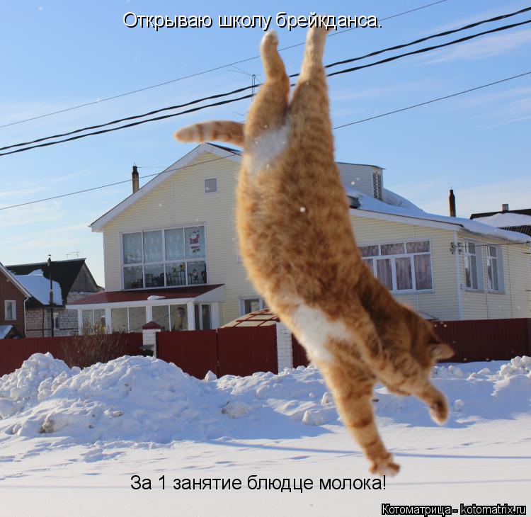 Открываю школу брейкданса. За 1 занятие блюдце молока!... Котоматрица: Открываю школу брейкданса. За 1 занятие блюдце молока!