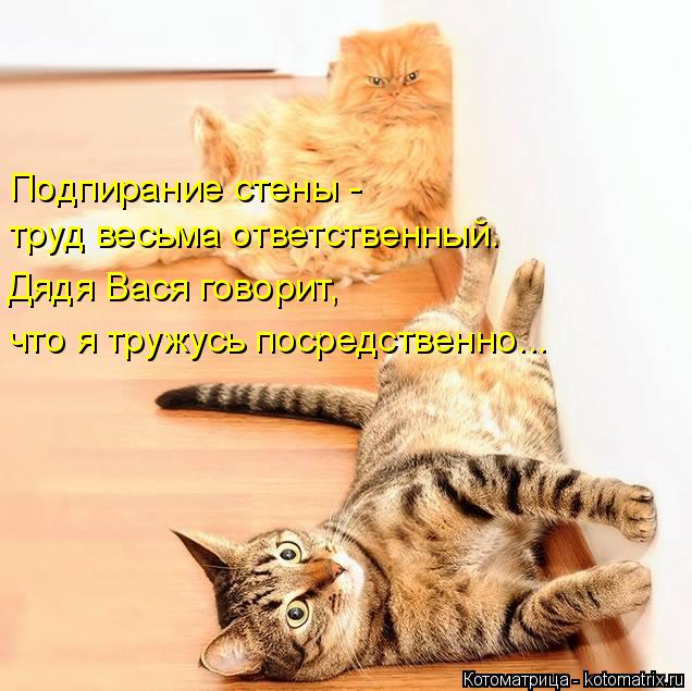 Подпирание стены - труд весьма ответственный. Дядя Вася говорит, что я тружусь посредственно...... Котоматрица: Подпирание стены - труд весьма ответственный. Дядя Вася говорит, что я тружусь посредственно...