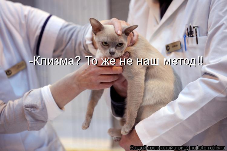 -Клизма? То же не наш метод!!... Котоматрица: -Клизма? То же не наш метод!!