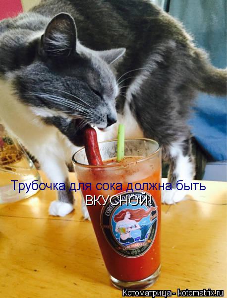 Трубочка для сока должна быть ВКУСНОЙ!... Котоматрица: Трубочка для сока должна быть ВКУСНОЙ!