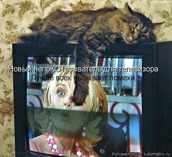 Новый непоКОТазыватель для телевизора Лучше всех вызывает помехи.... Котоматрица: Новый непоКОТазыватель для телевизора Лучше всех вызывает помехи.