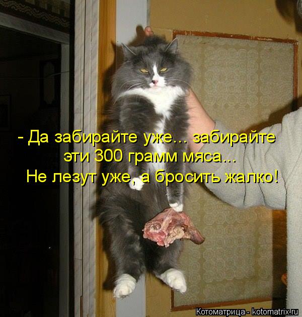 Котоматрица: - Да забирайте уже... забирайте эти 300 грамм мяса... Не лезут уже, а бросить жалко!