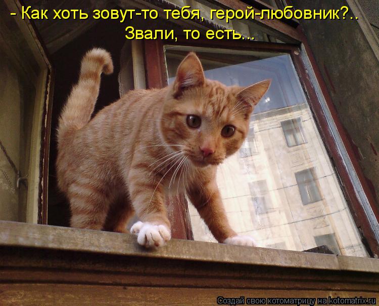 Котоматрица: - Как хоть зовут-то тебя, герой-любовник?.. Звали, то есть...