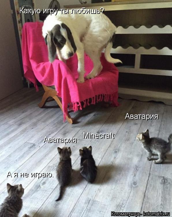 Какую игру ты любишь? Аватария Minecraft Аватария А я не играю.... Котоматрица: Какую игру ты любишь? Аватария Minecraft Аватария А я не играю.