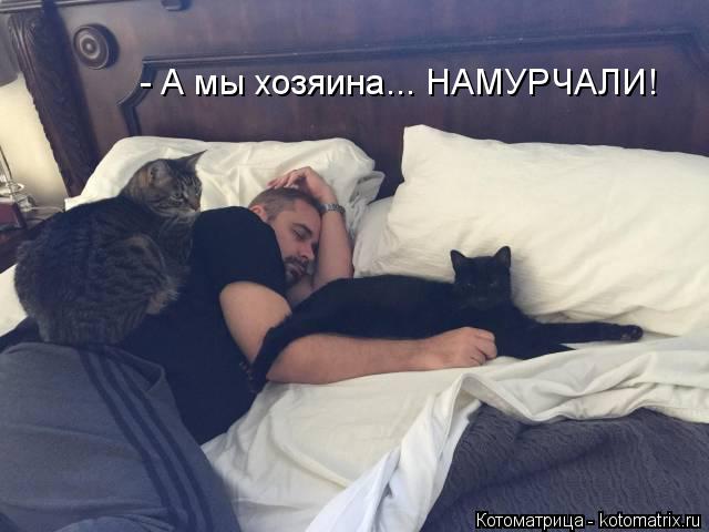 Котоматрица: - А мы хозяина... НАМУРЧАЛИ!