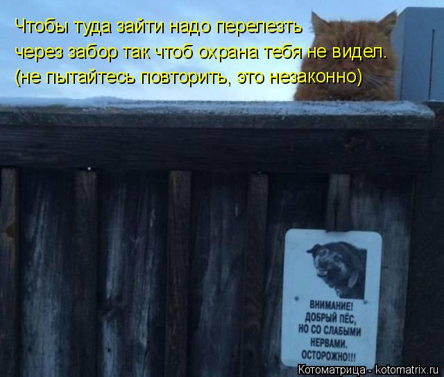 Чтобы туда зайти надо перелезть через забор так чтоб охрана тебя не видел. (не пытайтесь повторить, э... Котоматрица: Чтобы туда зайти надо перелезть через забор так чтоб охрана тебя не видел. (не пытайтесь повторить, это незаконно)