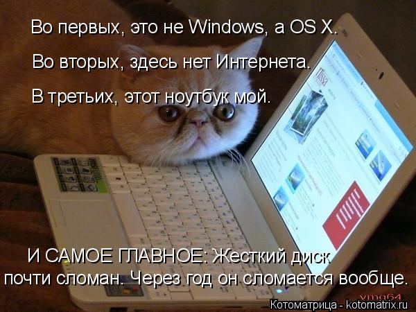 Во первых, это не Windows, а OS X. Во вторых, здесь нет Интернета. В третьих, этот ноутбук мой. И САМ... Котоматрица: Во первых, это не Windows, а OS X. Во вторых, здесь нет Интернета. В третьих, этот ноутбук мой. И САМОЕ ГЛАВНОЕ: Жесткий диск почти сломан. Через год