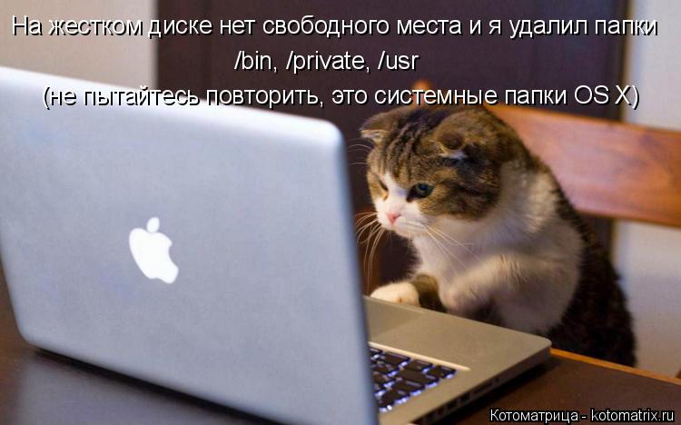 На жестком диске нет свободного места и я удалил папки /bin, /private, /usr (не пытайтесь повторить, ... Котоматрица: На жестком диске нет свободного места и я удалил папки /bin, /private, /usr (не пытайтесь повторить, это системные папки OS X)