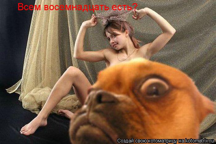 Всем восемнадцать есть?... Котоматрица: Всем восемнадцать есть?