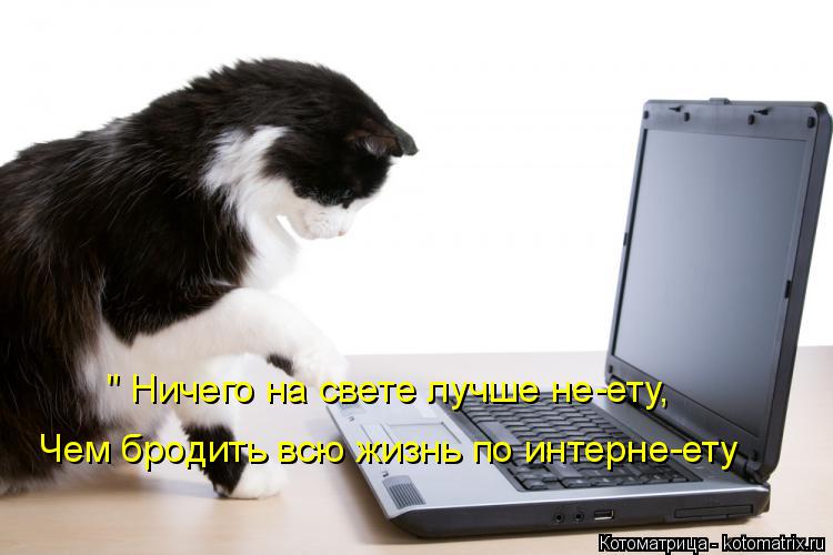 Котоматрица: Чем бродить всю жизнь по интерне-ету " Ничего на свете лучше не-ету,
