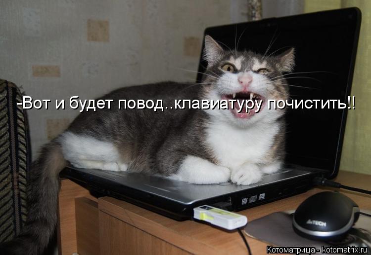 -Вот и будет повод..клавиатуру почистить!!... Котоматрица: -Вот и будет повод..клавиатуру почистить!!