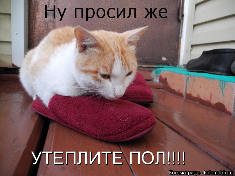 Ну просил же УТЕПЛИТЕ ПОЛ!!!!... Котоматрица: Ну просил же УТЕПЛИТЕ ПОЛ!!!!