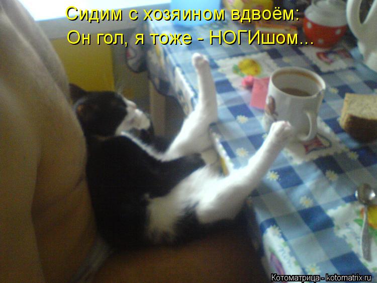 Котоматрица: Сидим с хозяином вдвоём: Он гол, я тоже - НОГИшом...