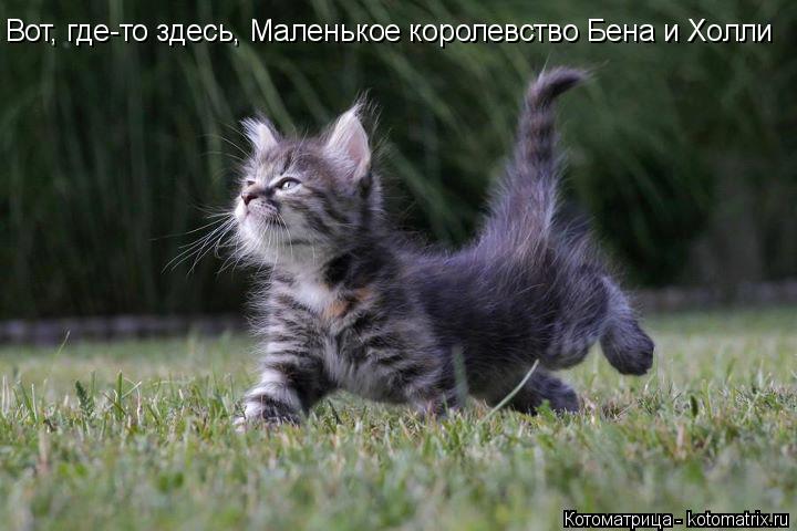 Вот, где-то здесь, Маленькое королевство Бена и Холли... Котоматрица: Вот, где-то здесь, Маленькое королевство Бена и Холли