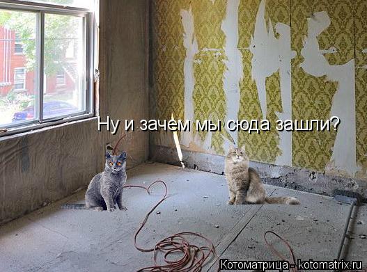 Ну и зачем мы сюда зашли?... Котоматрица: Ну и зачем мы сюда зашли?