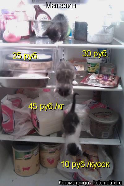 Магазин 30 руб. 10 руб./кусок 25 руб. 45 руб./кг... Котоматрица: Магазин 30 руб. 10 руб./кусок 25 руб. 45 руб./кг
