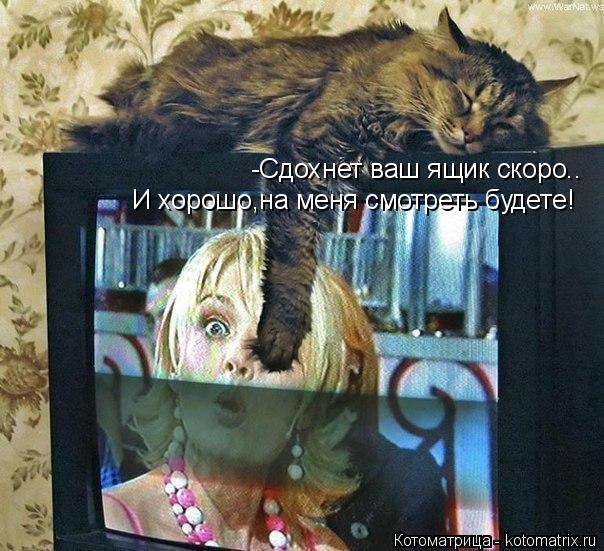 -Сдохнет ваш ящик скоро.. И хорошо,на меня смотреть будете!... Котоматрица: -Сдохнет ваш ящик скоро.. И хорошо,на меня смотреть будете!